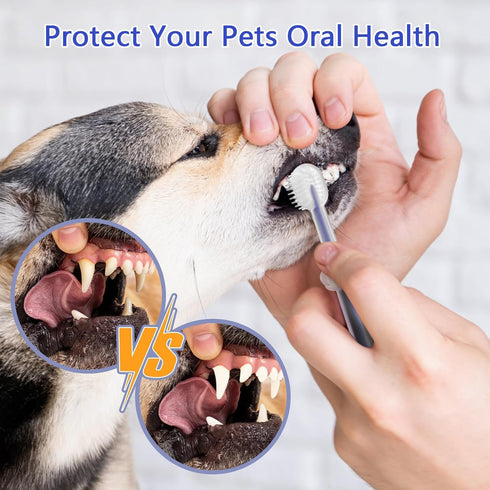 3PCS Pet Toothbrush Kit for Cats and Dogs, Complete Oral Care Set with Soft Bristles for Dental Hygiene
