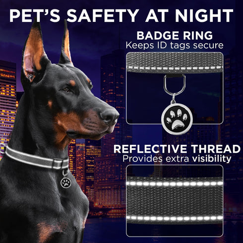 TECEUM Reflective Gray Pet Collar, S, Extra Soft Padding, Basic Nylon Dog Collar with Quick Release Buckle