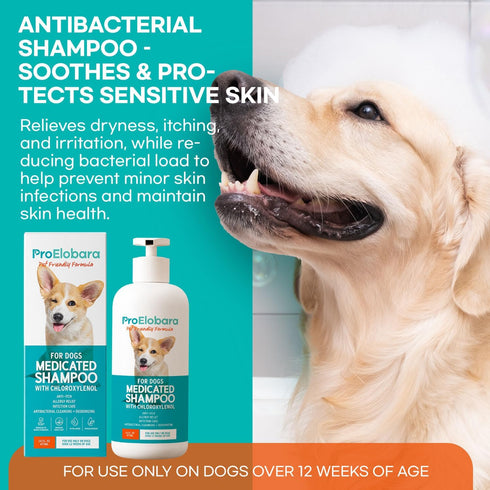 16 OZ Medicated Dog Shampoo for Allergies and Itching: Antifungal Dog Shampoo, Yeast Infection and Bacterial Treatment