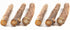 Silvervine Sticks Cat Toys - Natural Matatabi Catnip Chew Sticks for Teeth Cleaning (26 PCS)