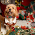 Lionheart Glory Christmas Plaid Dog Collar, Adjustable Soft Dog Collars for Small Medium Large Dogs, Pet Gift Red