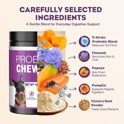 200pcs Immunity Probiotics for Dogs Dog Probiotics for Digestive Health Digestive Enzymes and Prebiotic, Probiotic