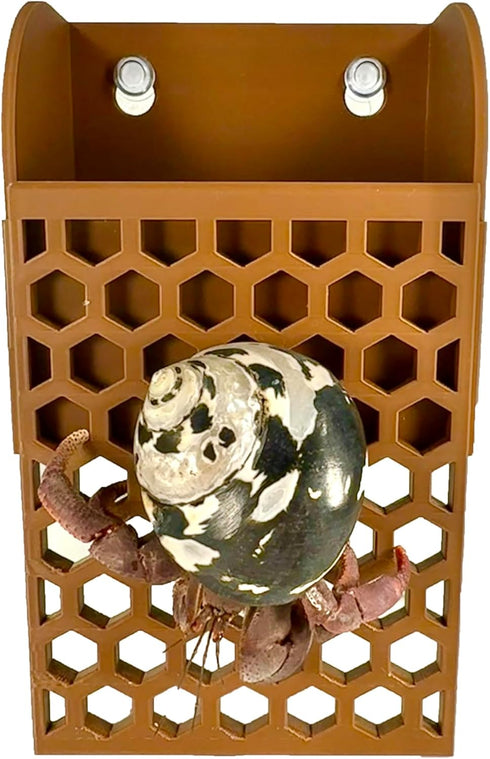 Lucky Critter Hermit Crab Climbing Wall Foraging Basket | Tank Enrichment Decor | Hermit Crab Habitat Decoration