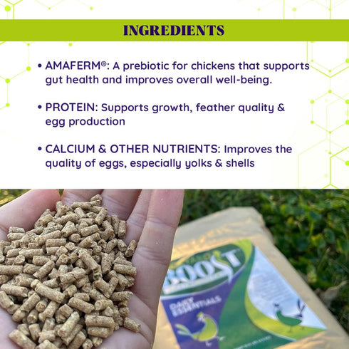 2.5 Backyard Boost Daily Essentials Chicken Feed | Pelleted High Protein Food for Laying Hens | Pound Bag