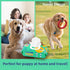 Pet Wipes 80 Count, Dog and Cat Cleaning Deodorizing Wipes, 8 x 8 Inch Grooming Wipes for Body, Paws, and Ears