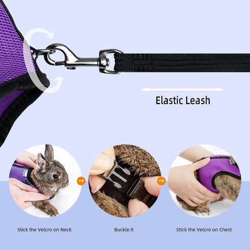Niteangel Adjustable Soft Harness with Elastic Leash - For Rabbits (M, Black)
