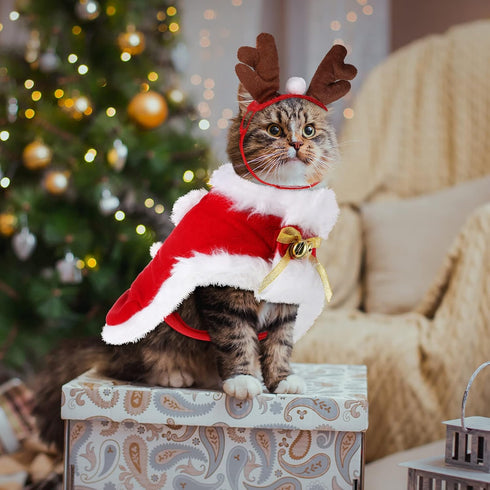 3 Pieces Christmas Pet Costumes Set, Includes Puppy Cat Cloak with Star, Pompoms, Antlers Headband, Santa Cape
