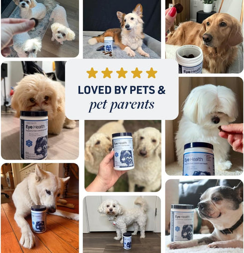 3, Immunity, 60 Veterinary Formula Eye Health Supplement for Dogs Vet-Formulated Tear Stain Chews with Omega Lutein