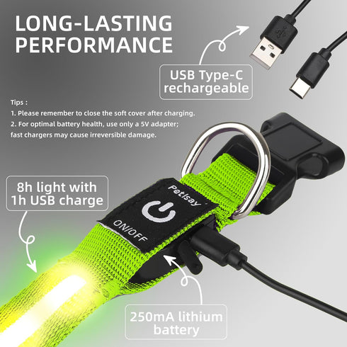 PetIsay Light Up Dog Collar - High Visibility Nylon, USB C Rechargeable & Waterproof LED for Night Walking, Medium Green