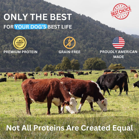 Beef Bites: All Natural Premium Air Dried Dog Training Treats, High Protein Dog Food Toppers, 16oz