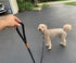 2 FT Short Dog Leash, Soft Braided Leash with Leather Connection for Small to Large Dogs (24 Inch x 1/2'')