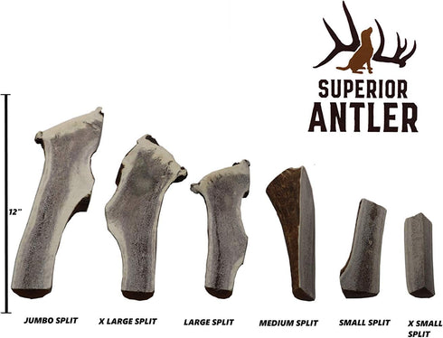 1 Large Split Antler Chew, All Natural Premium Grade A, 5"-9” Length, Made in The USA