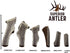 1 Large Split Antler Chew, All Natural Premium Grade A, 5"-9” Length, Made in The USA