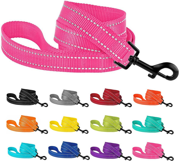 CollarDirect Nylon Dog Leash, 5ft, Heavy Duty Reflective Pet Leashes for Large, Medium & Small Dogs (L, Pink)