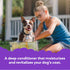 16 oz. Buddy Rinse Conditioner for Dog Grooming Dog, Lavender & Mint, Bottle
