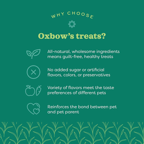 1 oz Oxbow Simple Rewards Small Pet Treats, Banana, Freeze Dried Fruit, Guinea Pig & Bunny Treats, Healthy Pet Fruit