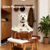 TBQA Portable Pet Travel Carrier, Small Dog Bed with Tether, Center Console Dog Sear, for Small Pet Carriers