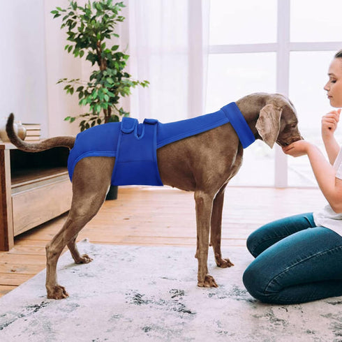 Dog Diapers Female Reusable Washable Period Diaper with Suspender,Adjustable Dog Panties Anti-Harassment, Doggie