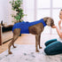Dog Diapers Female Reusable Washable Period Diaper with Suspender,Adjustable Dog Panties Anti-Harassment, Doggie