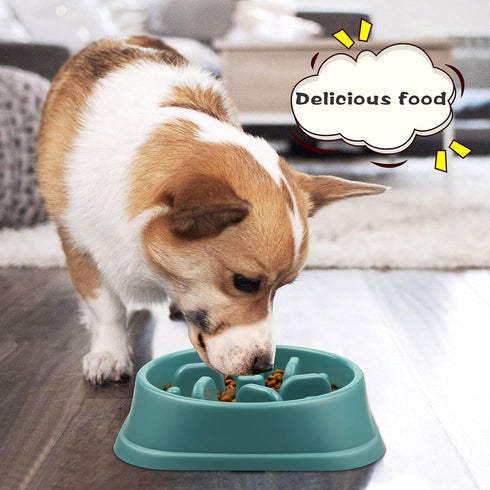 UPSKY Slow Feeder Small Dog Puzzle Bowl Feeder, Anti-Slip, Anti-Bloat, Anti-Choking (12-70 lbs)