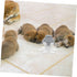 Multi-Puppy Feeding Station - Silicone Dog Feeder with Nipple Pacifiers