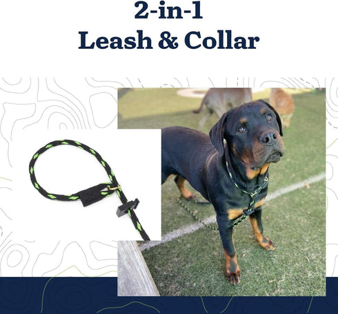 Mad Dog Products English Slip Dog Lead, 1/2 Inch x 8 Feet, Purple