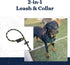 Mad Dog Products English Slip Dog Lead, 1/2 Inch x 8 Feet, Purple