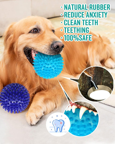 2 Pack 4.5” Heavy Duty Squeaky Dog Ball for Medium Large Dogs, Spikey Toys for Clean Teeth and Training