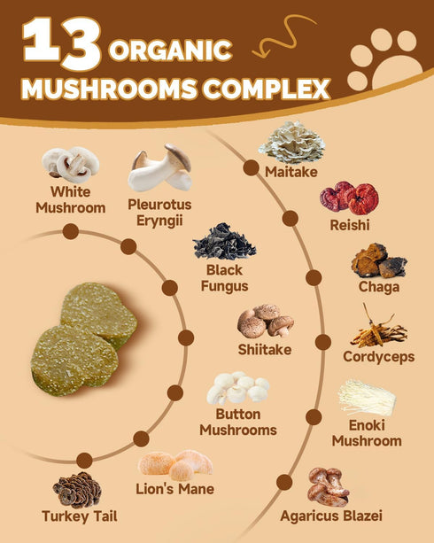 Immune 13 Mushrooms for Dogs - Turkey Tail Mushroom for Dogs - Gut, Skin, Joint, Health- Dog Lumps & Bumps - Organic