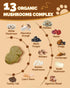 Immune 13 Mushrooms for Dogs - Turkey Tail Mushroom for Dogs - Gut, Skin, Joint, Health- Dog Lumps & Bumps - Organic