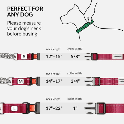 CollarDirect Martingale Dog Collar with Stainless Steel Chain, Quick Release Buckle, Reflective for Large, Medium,