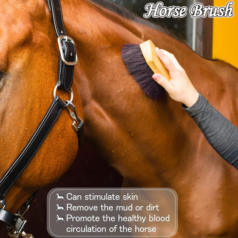 VECKYJL Set, 10Pcs Horse Grooming Kit, Horse Brush Horse Cleaning Kit with Brush, Sweat Scraper, Curry Comb, Hoof Pick