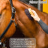 VECKYJL Set, 10Pcs Horse Grooming Kit, Horse Brush Horse Cleaning Kit with Brush, Sweat Scraper, Curry Comb, Hoof Pick