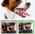 2 Pack Dog Toothbrush - Mini Head Soft Tooth Brush for Deep Clean, Portable for Small Pets