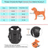 Petmolico Tactical Dog Harness, Black M, No Pull with Leash, Hook and Loop Panels for Medium Dogs, Military Service