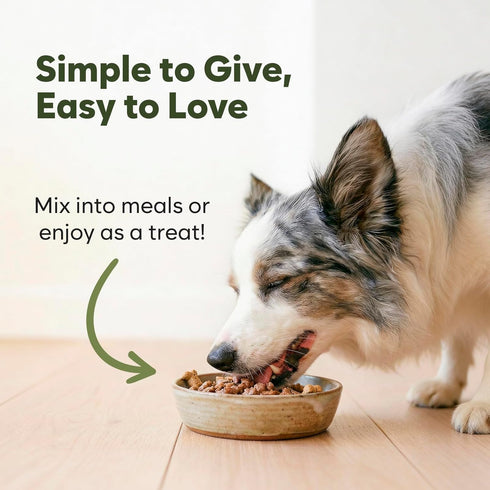 5-in-1 Immune Premium Mushroom Chews for Dogs - Turkey Tail, Lions Mane, Chaga, Reishi & Shiitake - Support & Cognitive