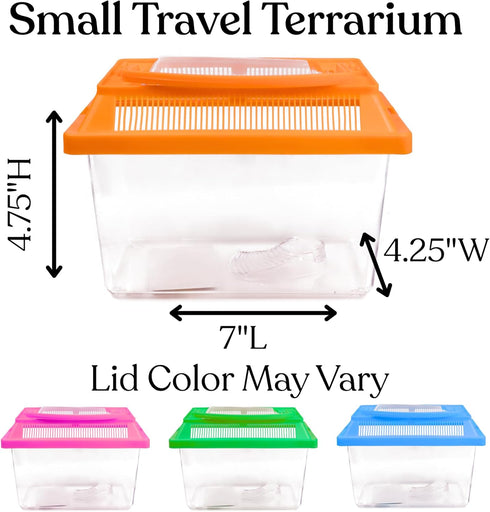 Needzo Ultimate All-in-One Hermit Crab Starter Kit, Neon Plastic Cage, Thermometer, Food, Treats, Trainer Bottle