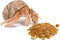 Pack 2 Needzo Hermit Crab Food and Treat Starter Kit Bundle All in One Natural Supplies and Habitat Necessities for Pet