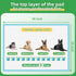Dog Pads Extra Large 30"x36", 30-Count XXL Puppy Pads, Super Absorbent Disposable Bed Pads