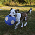 Dog Toys Balls - Pet Chew Toy Stuffed with Fluffy, Cute Interactive Squeak Toy for Medium and Large Dogs