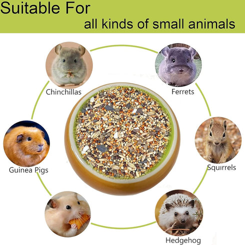 Ceramic Hamster Bowl, Small Animal Food Dish for Guinea Pig, Rabbit, Gerbil, Chinchilla, Hedgehog, Sugar Glider, Rat (2