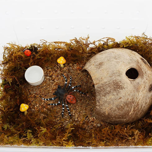 DQITJ 8 Pcs Hermit Crab Ceramic Water Bowl, Tarantula Mini Food Dish for Hermit Crab Tarantula Spider Millipede Tiny