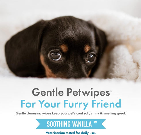Petkin Hemp Pet Wipes for Dogs and Cats, 200 Count - Soothing Vanilla Scent, Conditions Face, Eyes, and Body
