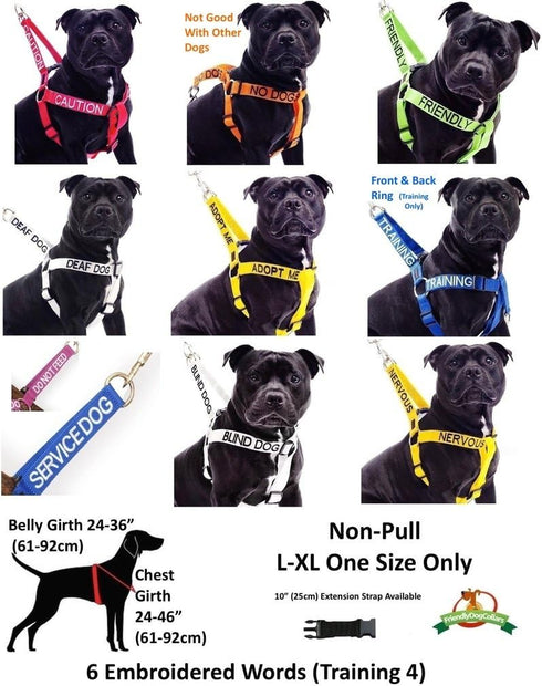 Limited Blind Dog White Color Coded Alert Warning Harness - L XL Non-Pull, Prevents Accidents