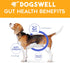 Dogswell Gut Health Slices Functional Dog Treats, Chicken, 8 oz. Bag