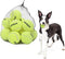 PUPTECK Squeaky Tennis Balls for Dogs, 2.5" Training Bouncy Ball Toys, 12 Packs for Fetch and Exercise
