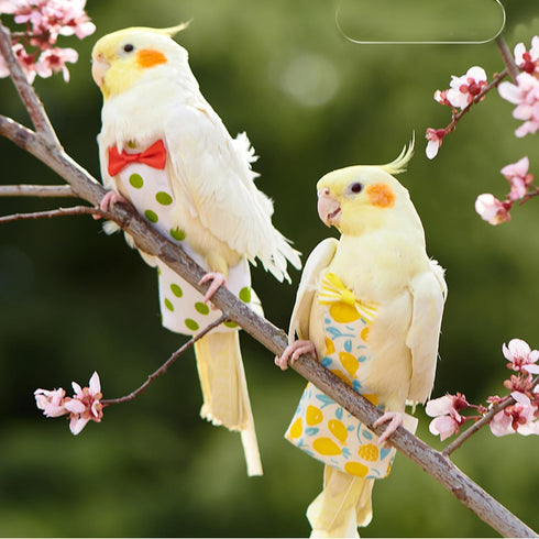 UtySty 2 Pack Bird Diaper Parrot Nappy Bird Flight Suits Harness Cockatiel Diaper Small Birds Clothes for Parakeet