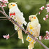 UtySty 2 Pack Bird Diaper Parrot Nappy Bird Flight Suits Harness Cockatiel Diaper Small Birds Clothes for Parakeet