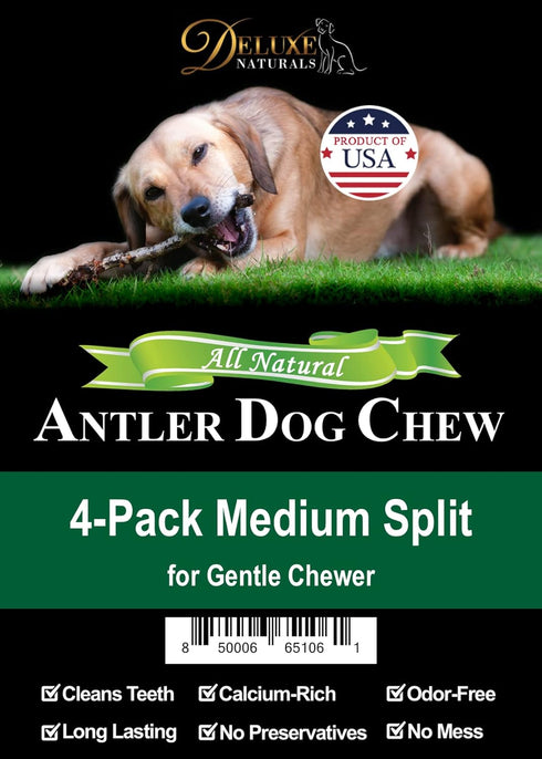 Elk Antler Chews for Dogs | Naturally Shed USA Collected A-Grade Premium Elk Antler Dog Chews | 4-Pack Medium Split