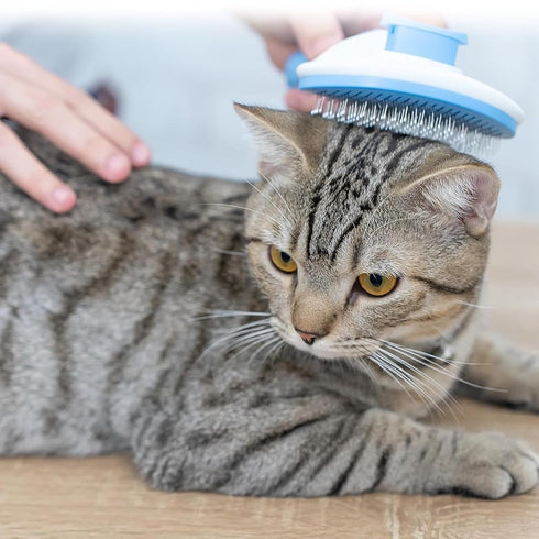 Dog Brush for Shedding, Self-Cleaning Pet Brush, Blue, Removes Loose Hair and Tangles